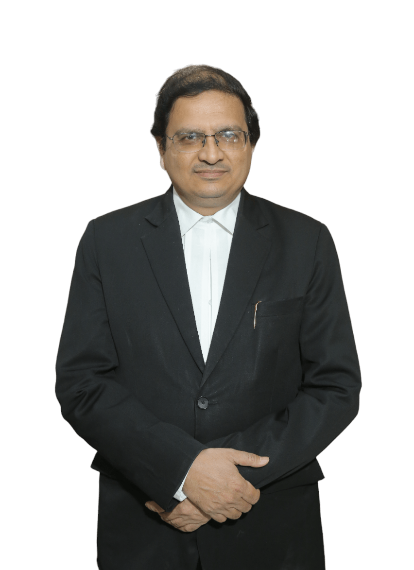 Litigation Team Madamser & Co